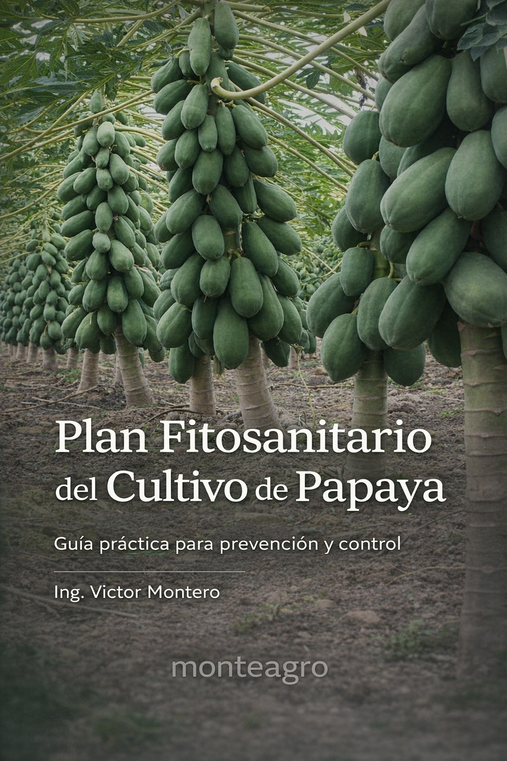Plan Fitosanitario Papaya