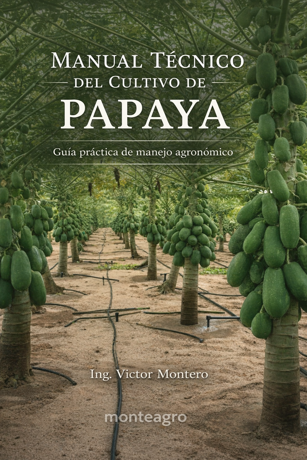 Manual Técnico Papaya