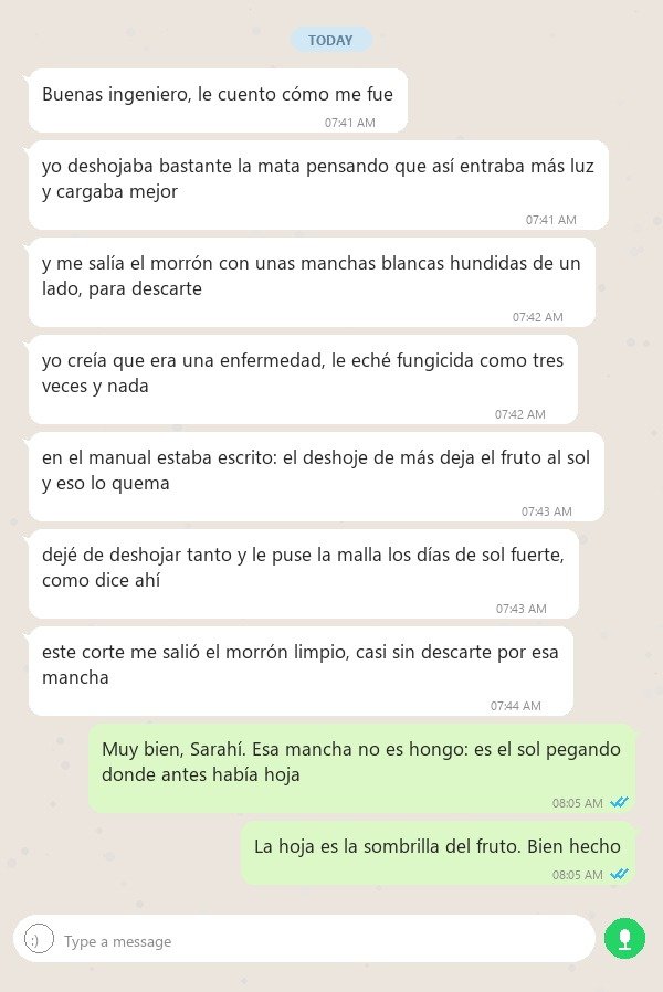Caso Sarahí — quemadura solar por deshoje excesivo
