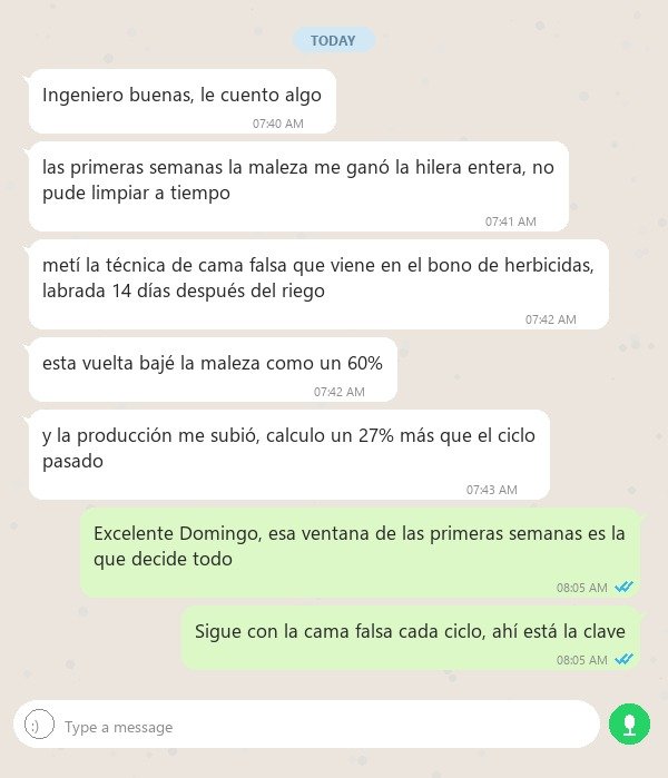 Caso Domingo
