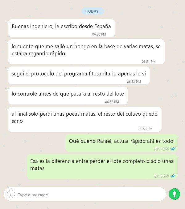 Caso Rafael