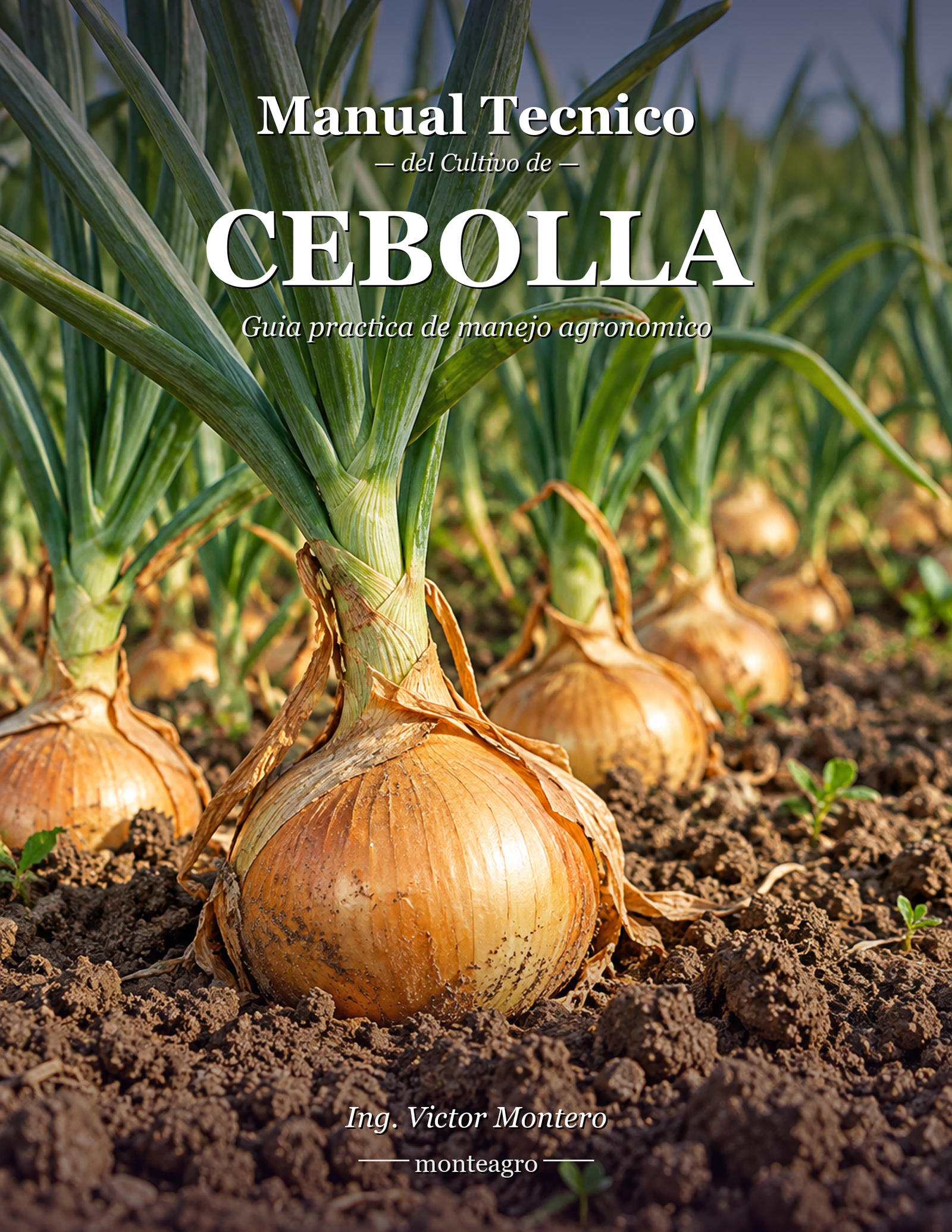 Manual Técnico Cebolla